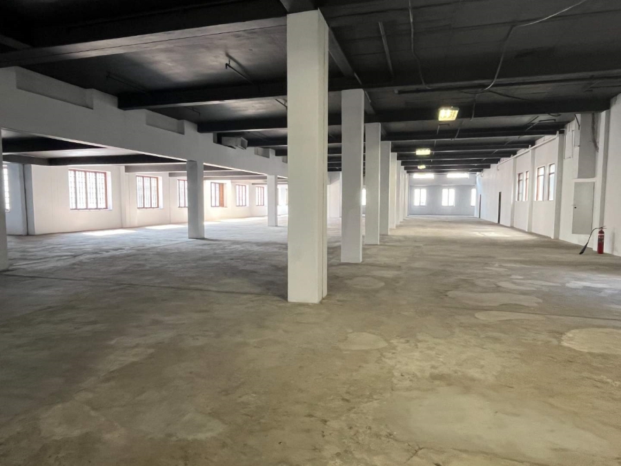 To Let commercial Property for Rent in Cape Town City Centre Western Cape